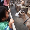 上野動物園に行ってきました