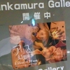 アリス幻想奇譚2019＠Bunkamura Gallery　2019年2月16日（土）