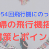 妊娠時の飛行機搭乗54回！妊婦の飛行機搭乗履歴、気を付けた方がいいこと・対策をまとめてみました。