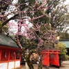 【ただあったことだけ日記】寒い日からの春の予感。