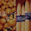 096食目「普通じゃない環境で育った結果。」