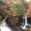 日光の紅葉