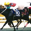 2021年　第24回（55回）スプリンターズS（GⅠ）中山競馬場　芝1200m   消去法データ