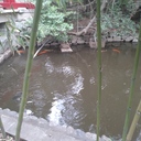 文章処理場