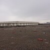 森ケ崎水再生センター屋上営巣地　整備作業を行いました