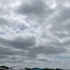 熱と酒にうかされて