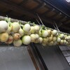 初心者におすすめの野菜　3選