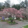 神社巡り★芦屋町～岡垣町～宗像