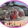 近況報告　2023/12/21(木)～12/31(日)   12/27造影CT検査