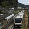 午後からの鉄道旅(秋のアドベンチャーライン編)