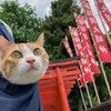 【旅行記】あずきちゃんがいっぱい24　【水前寺成趣園】