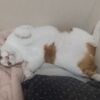 今年の8月はいい8月でした。