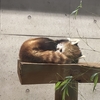 目的なき行動は継続が難しいという話
