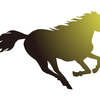 【追い切り注目馬】【ディセンバーS】【北総S】他　2024/12/15(日) 中山競馬　それぞれの思惑で1800mへ