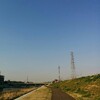桜ノ宮の桜