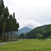 恵みの雨