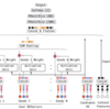 【論文紹介】Deep Interest Network for Click-Through Rate Prediction