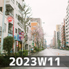 桜雨（2023W11）