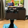 テレビ好きな我が家の黒柴