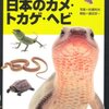 本、読み終えた。松橋利光『ハンディ10日本のカメ・トカゲ・ヘビ (山溪ハンディ図鑑)』