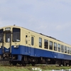 第2658列車　「　スカ色！MRT304を狙う 2024・3月 水島臨海鉄道撮影遠征その1　」