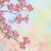 明日、明後日は連絡がとりにくくなります