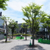 写真展をみに出かける時の持ち物リスト