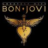 2003.1.11　BON JOVI　「BOUNCE TOUR」　大阪ドーム