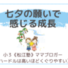 七夕の願いで感じる成長〈小３双子〉