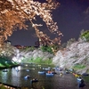 夜桜　千鳥ヶ淵