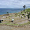 コロナウイルス感染拡大防止のため今年は「千枚田」の田植え作業を市民ボランティア参加で行いました