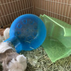 ワールドカップ早く終われ（or メキシコ早く負けろ）