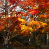 八ヶ岳周辺の星空と紅葉の様子 '17年10月