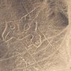 ナスカの地上絵が怖いと言われるのはなぜ？誰が書いたのか・どうやって発見されたのかについても