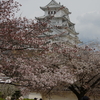 2017年今年を振り返る（4月）【姫路城】