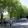 スイレンとバラ　神代植物公園