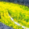 Kiyohara Soft VK70R