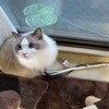 今日も元気におもちゃ遊び