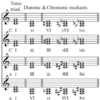 Chromatic mediant Chords Change＋裏コード＝AXIS SYSTEM＋α