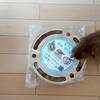 猫壱の爪とぎ「バリバリパッド」