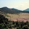 昔の一枚・高峰、池之平湿原