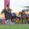 競馬初心者必見☆馬券予想🔥〜阪神JF〜本命不在の2歳女王決定戦