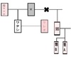病気になった50代の友人
