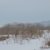 まだまだ除雪