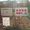 撮影散歩