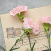 保護者から先生への手紙の書き方や例文は？感謝やお礼の手紙・相談の場合も