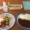 金光町のおおたやさんでカレーランチ♪