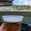 俊介、甲子園初ホームラン生観戦☆阪神×西武 6/13