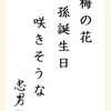 梅の花孫誕生日咲きそうな