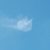 あらいぐまの雲❔　『ラスカル』❔